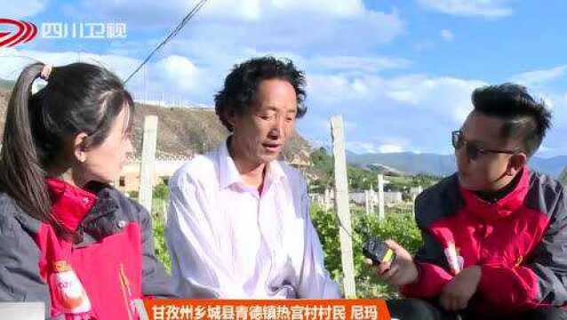 四川主播边界行(三十四)甘孜州乡城县:文旅融合 助力乡村发展