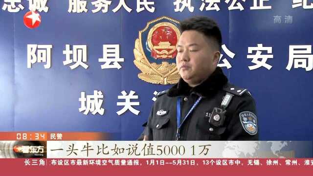 四川:阿坝警方扫除赌窝 现场抓获40余名涉赌人员