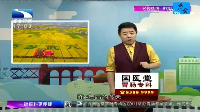 最美上桂“油”来已久