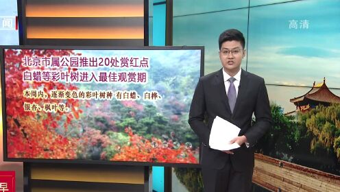北京市属公园推出20处赏红点 白蜡等彩叶树进入最佳观赏期