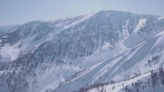 国外滑雪大神野雪+高山滑雪 美得每一帧都是壁纸