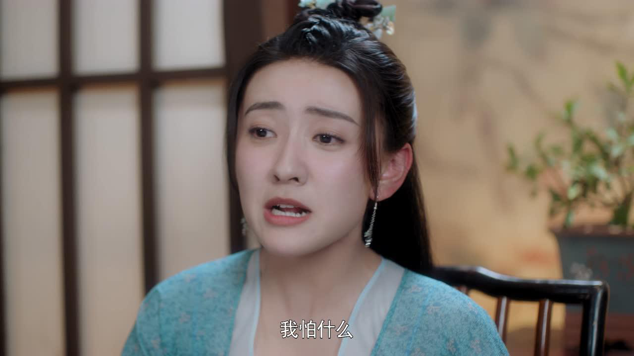 雁归西窗月 28集