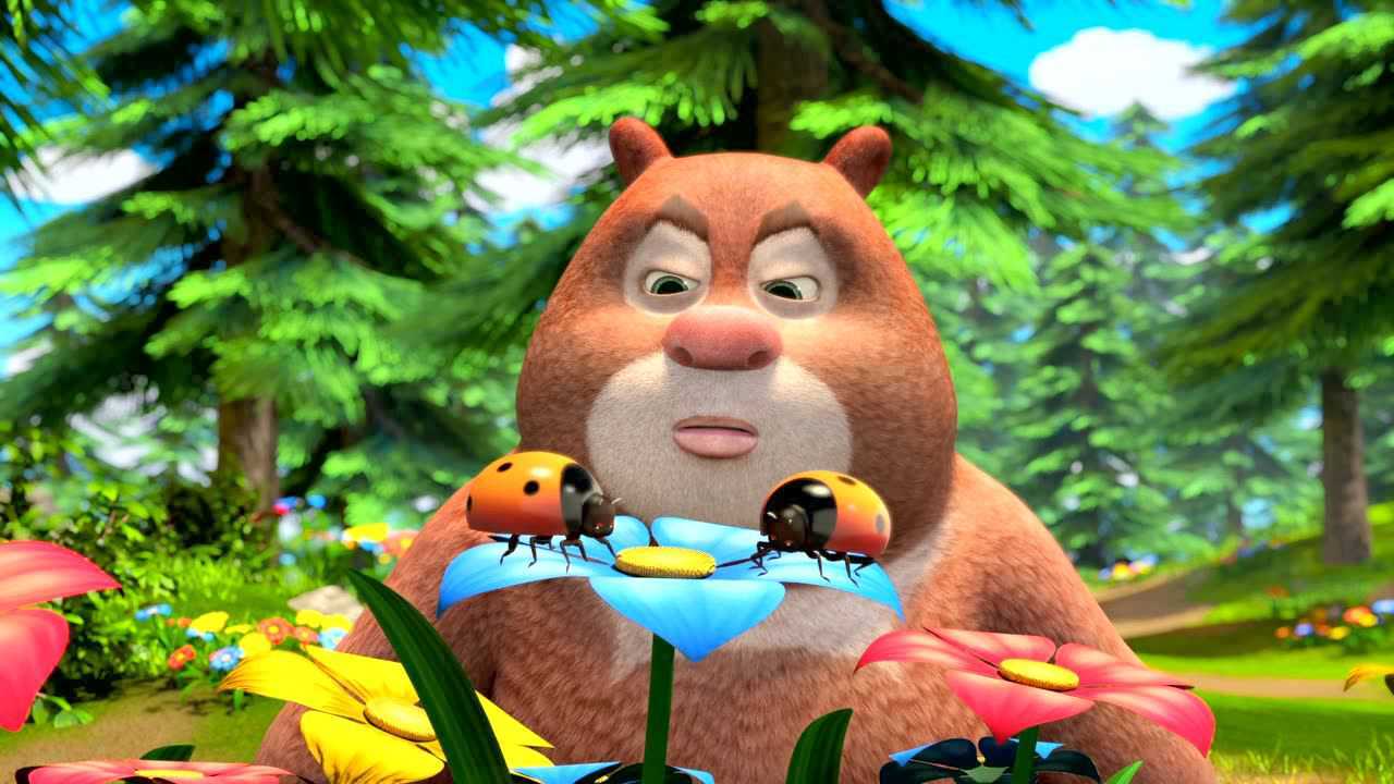 熊熊乐园合集:熊大观察七星瓢虫