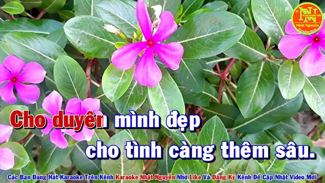 T桠Hồng T㬮h 䐃㠓e Duy㪮  Tone Nam