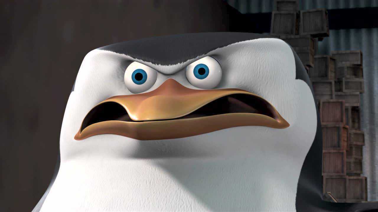 马达加斯加企鹅第一季:企鹅感到非常愤怒
