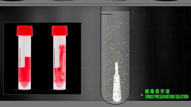 核酸检测用的小红管里装的是啥?