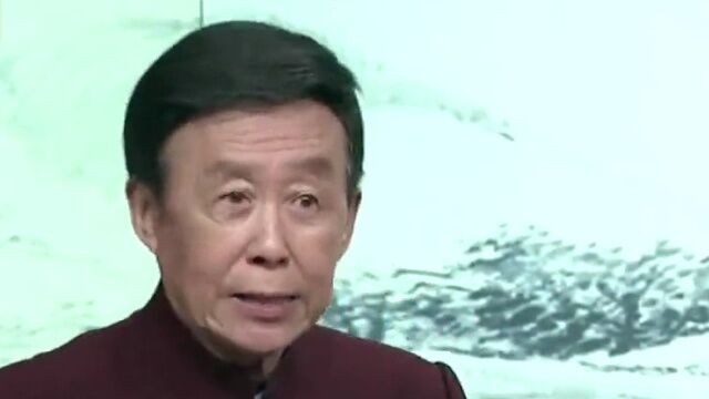 山贼看到金大力不敢上前迎战