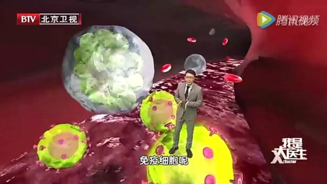 整形外科医院院长栾杰高光片段