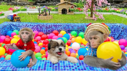 小猴子啵啵和小伙伴玩游乐场_26