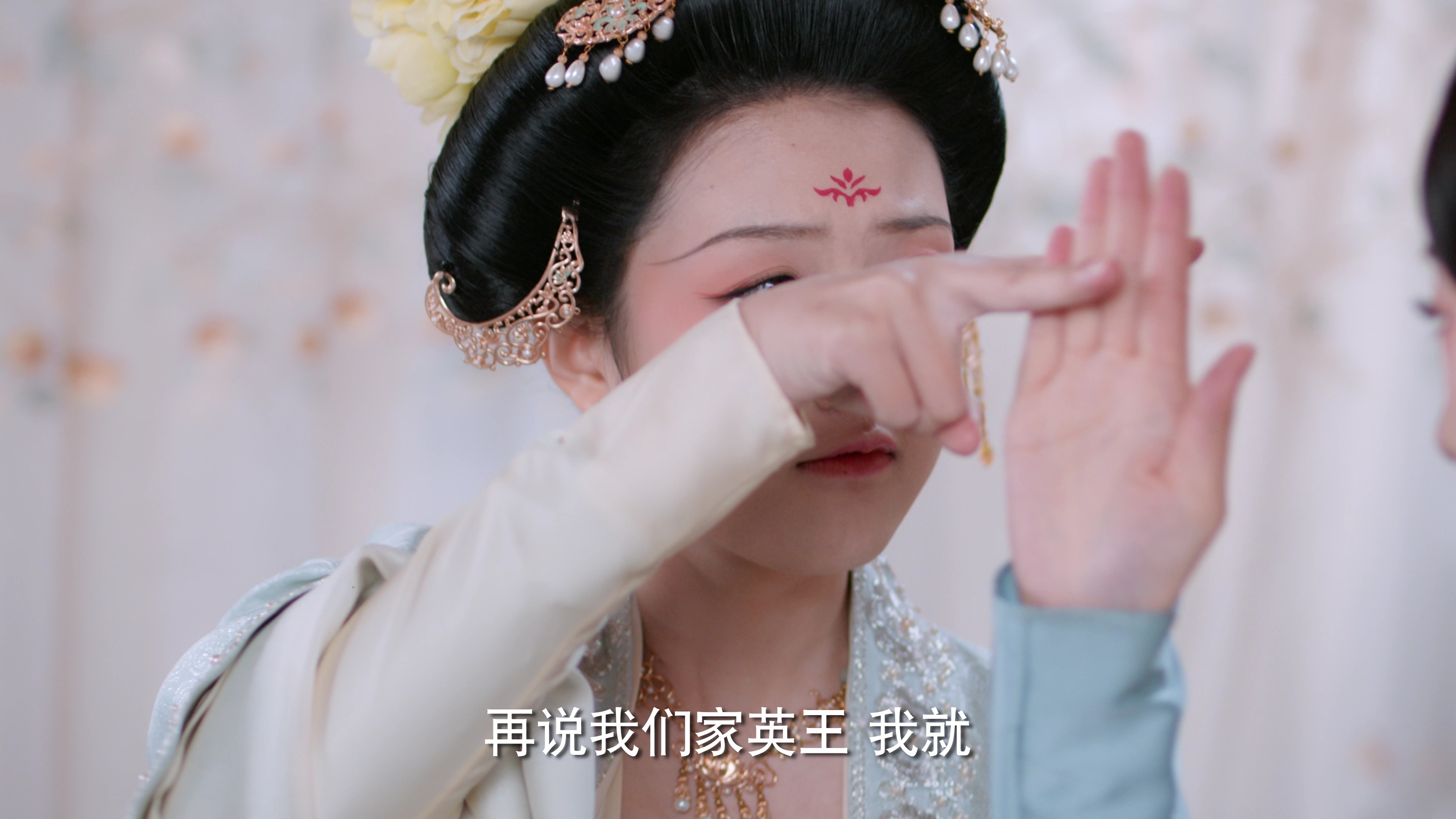 花琉璃轶闻 17集