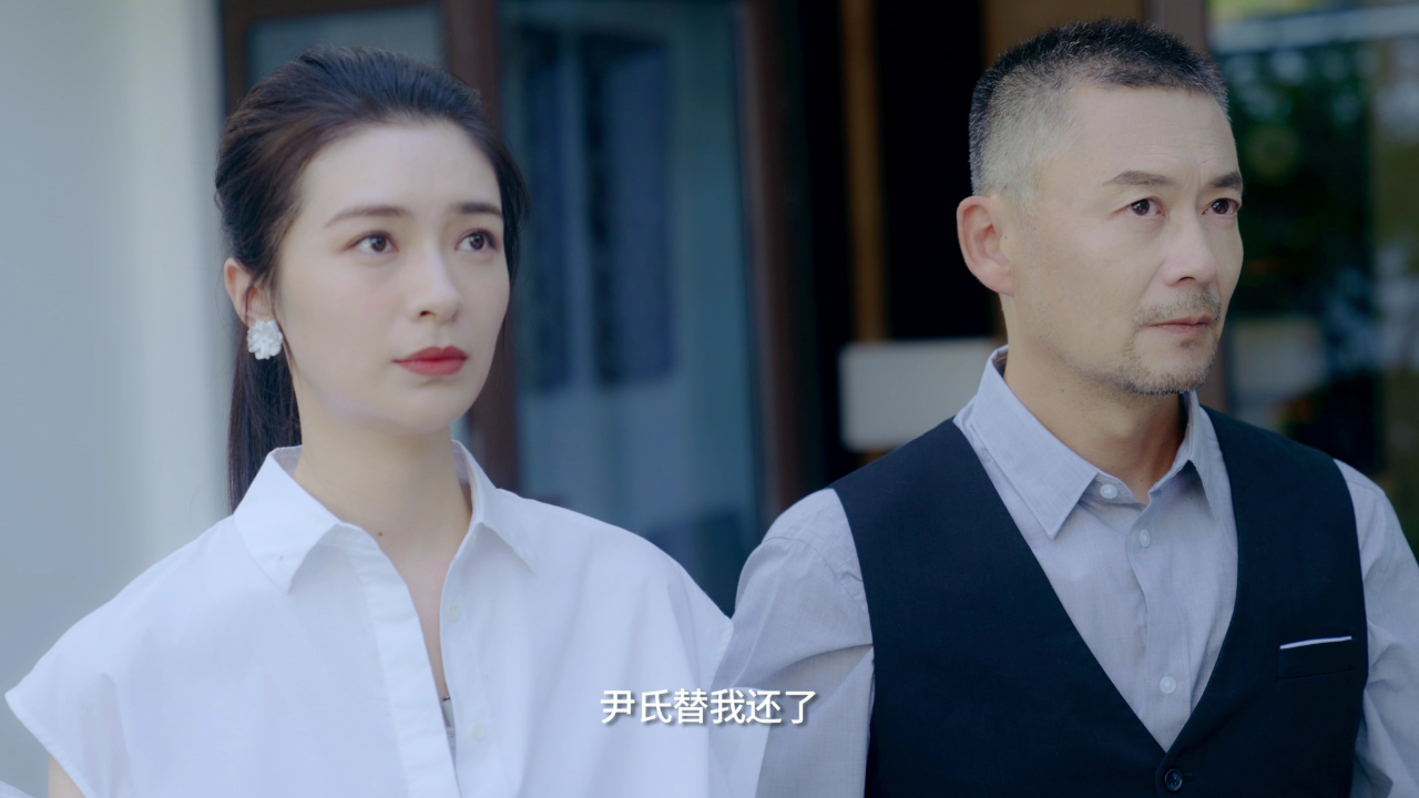 赘婿无双 10集