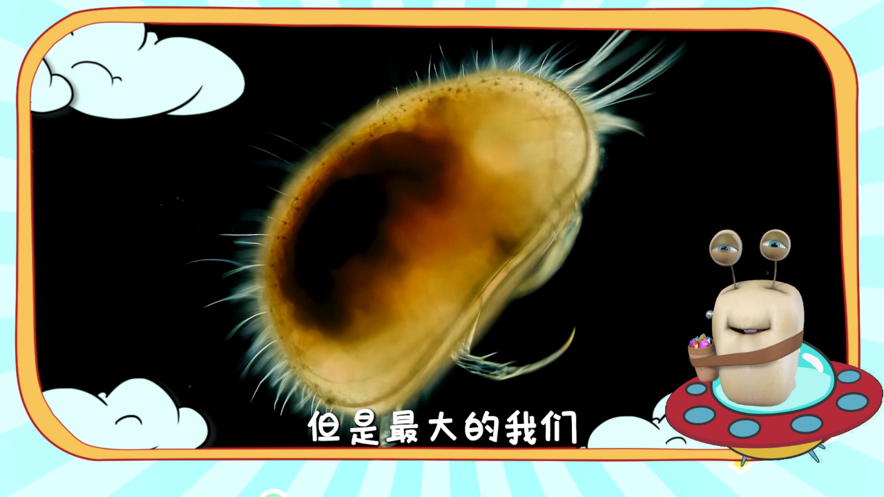 白白侠的微生物朋友 18集