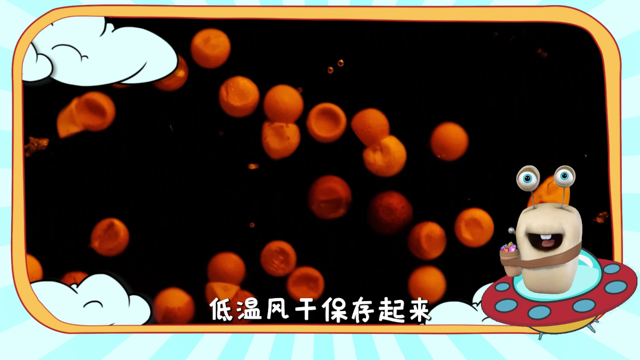 白白侠的微生物朋友 15集