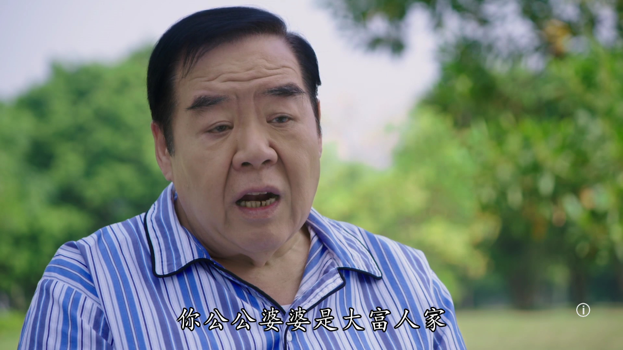 荷里活有个大老千[粤语版] 30集