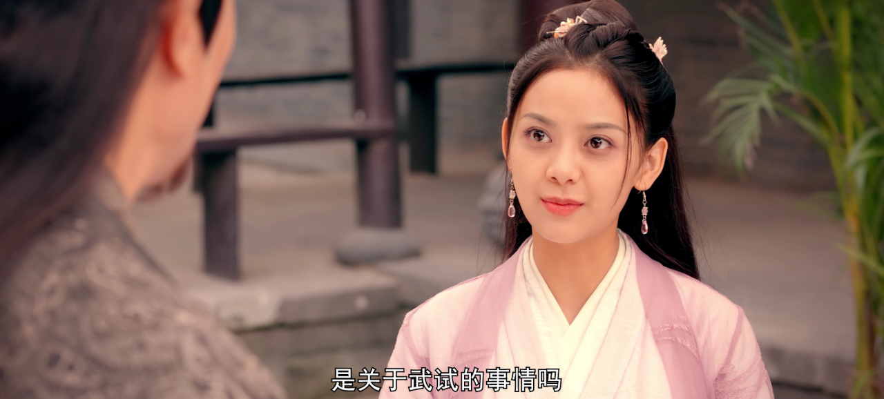 梅府有女初长成 12集