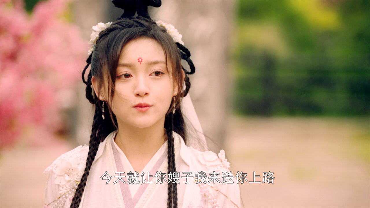 夜族公子小仙妻 19集