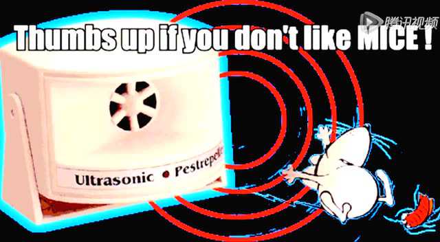 超声波赶跑家中的老鼠_腾讯视频