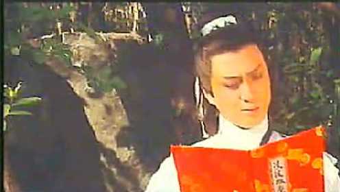 香港1982电影版《天龙八部》片段