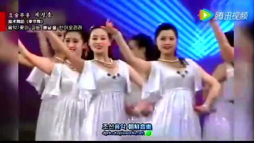 朝鲜魔术舞蹈季节舞