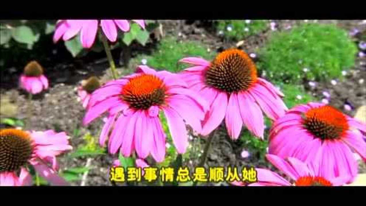 朗诵:王凤仪家庭伦常道(风光音乐欣赏)_腾讯视频