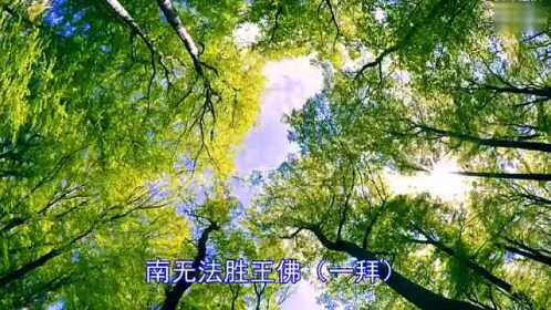 八十八佛拜忏(女声版)30分钟.