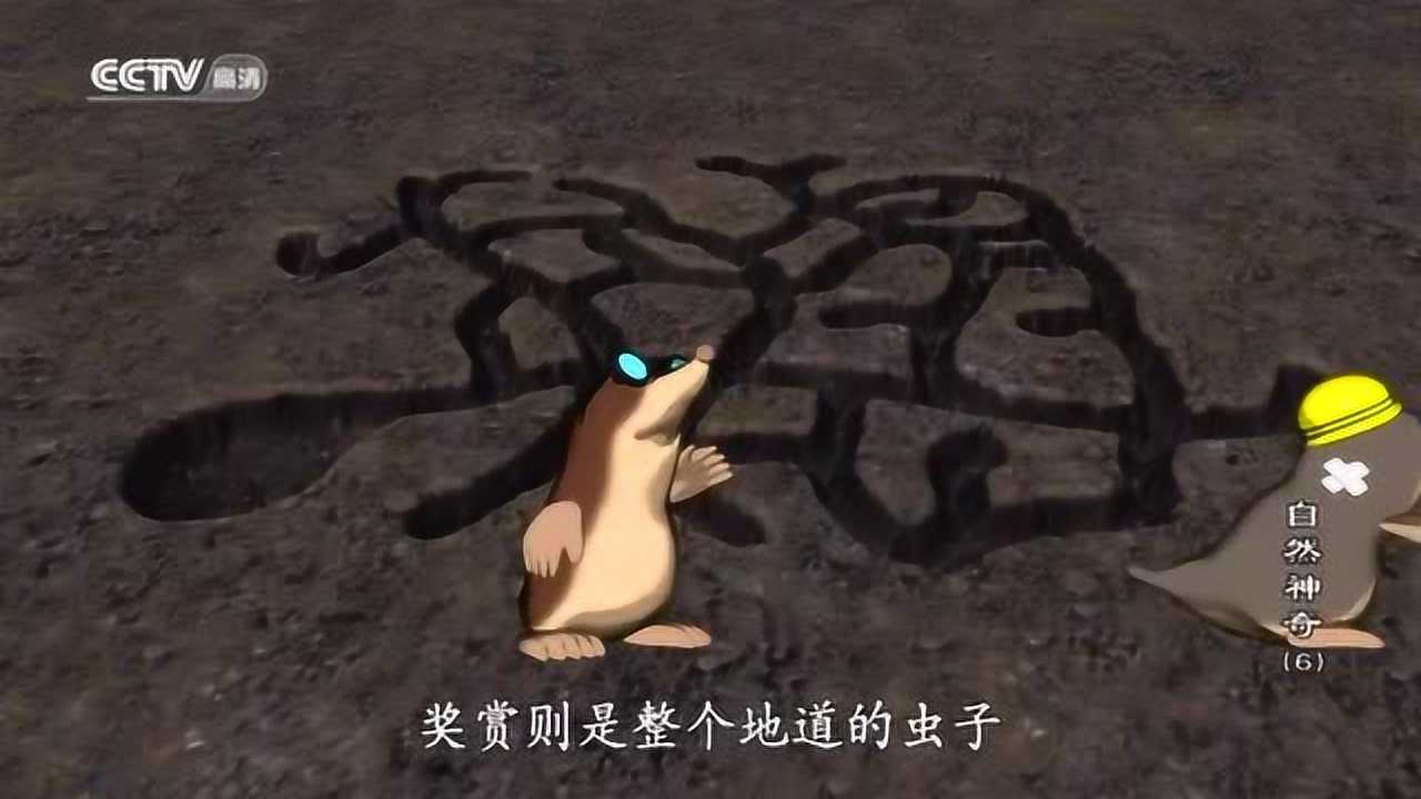 萌萌的鼹鼠也有争斗_腾讯视频