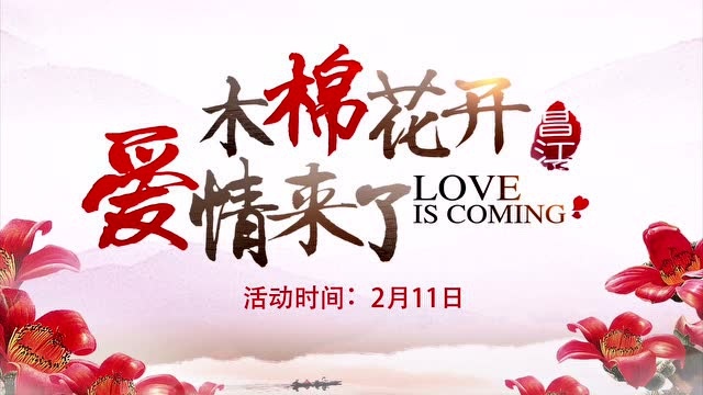 2017海南昌江"木棉花开 爱情来了"系列活动宣传片