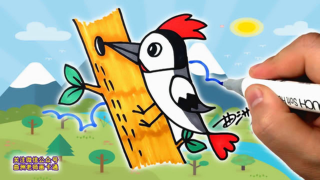 曲洲老师画卡通少儿简笔画啄木鸟