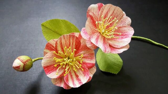 手工折纸教程制作逼真的蝴蝶兰花