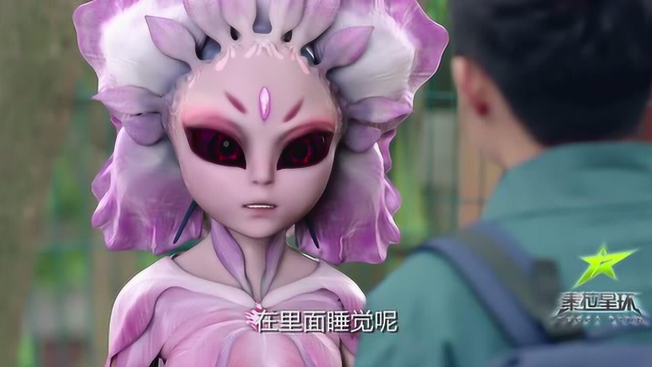 泰拉星环小艾美腿图片