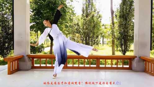 超唯美中国古典舞《佛渡有缘人》琴艺舞苑广场舞