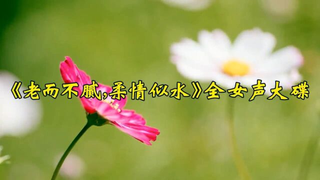 5个多小时200首老而不腻柔情似水全女声歌曲大碟