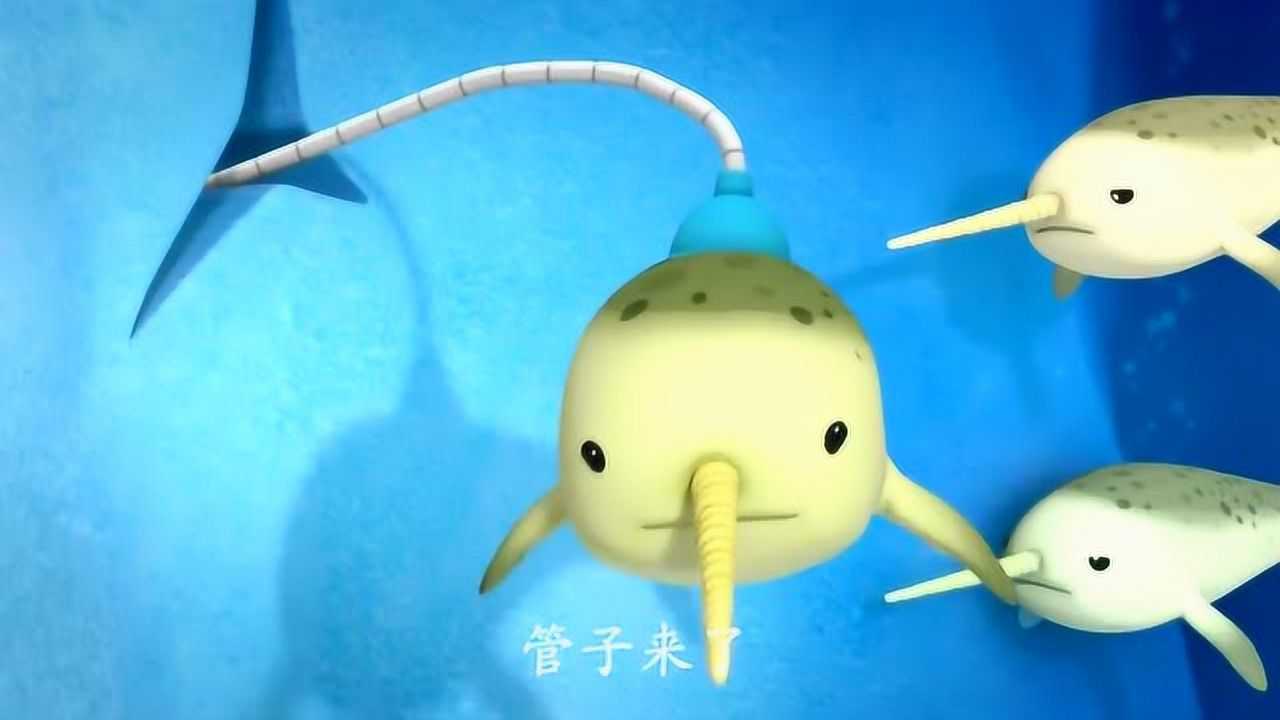 海底小纵队与弓头鲸_腾讯视频