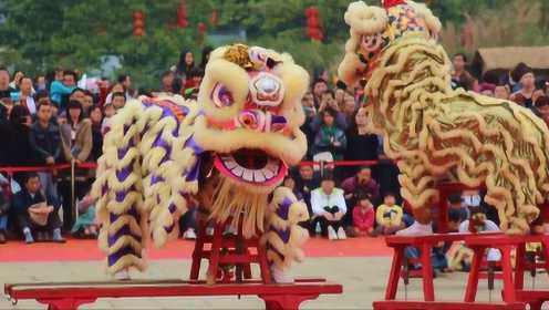 新春狮王争霸赛  梅花桩过天桥上金山