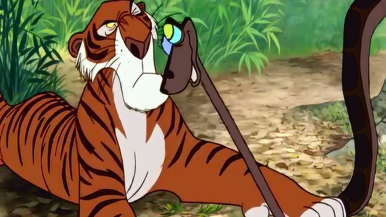 森林之王蟒蛇为救狼孩与老虎斗智斗勇