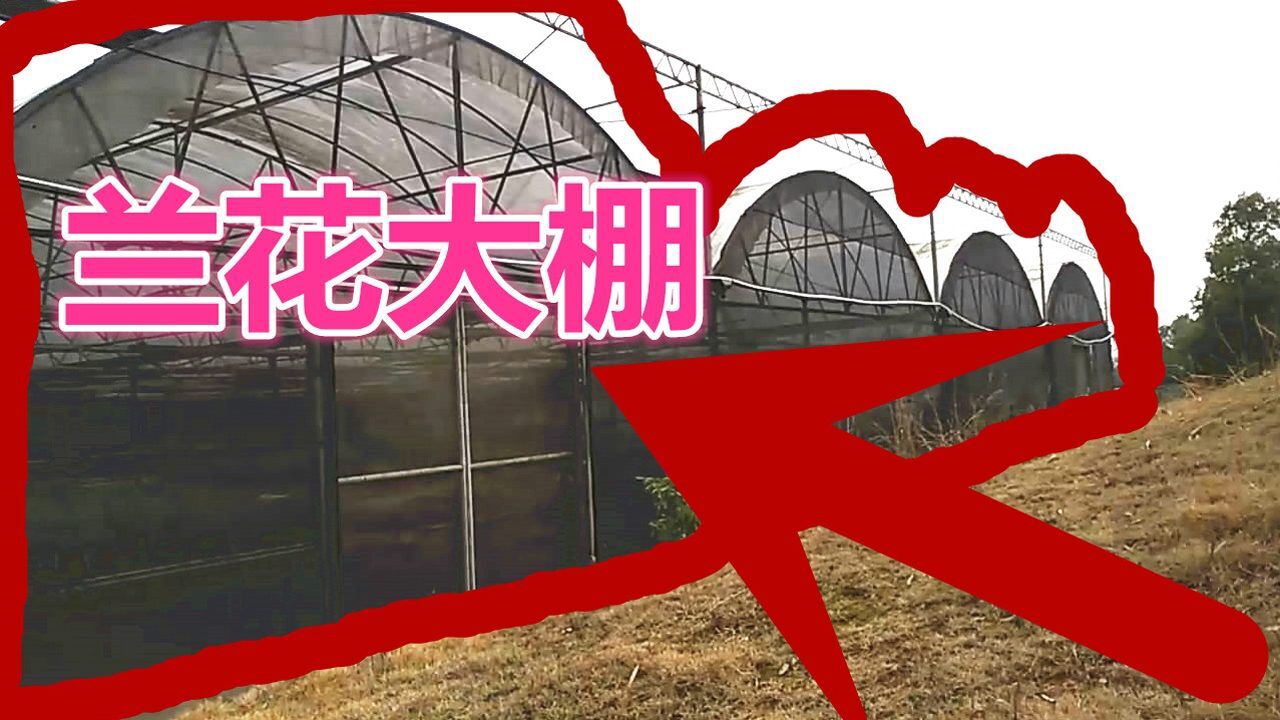 一木花卉课堂35期:一起看看兰花大棚的构造