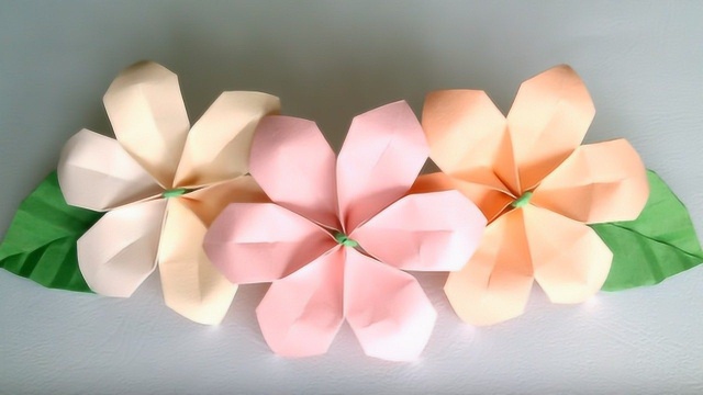 折纸花 全网资源