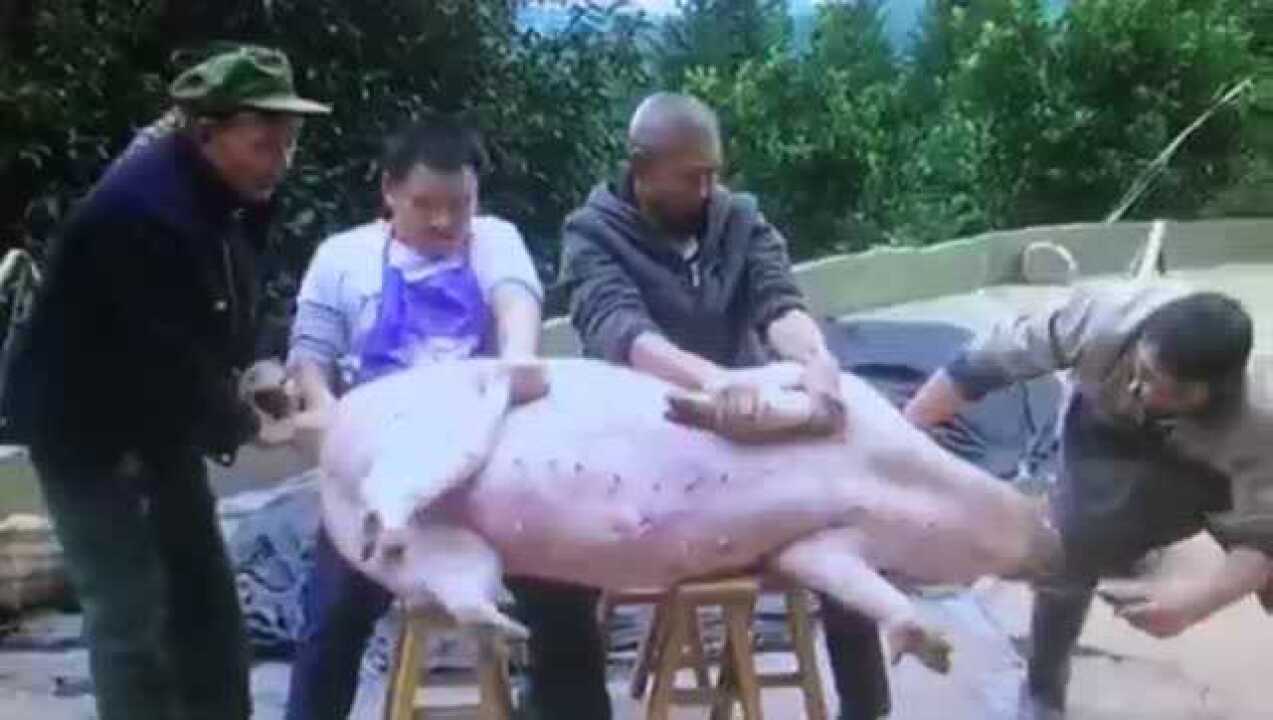 农村杀猪不见血刀法高哇原来杀猪匠是个左撇子_高清1080P在线观看平台_腾讯视频