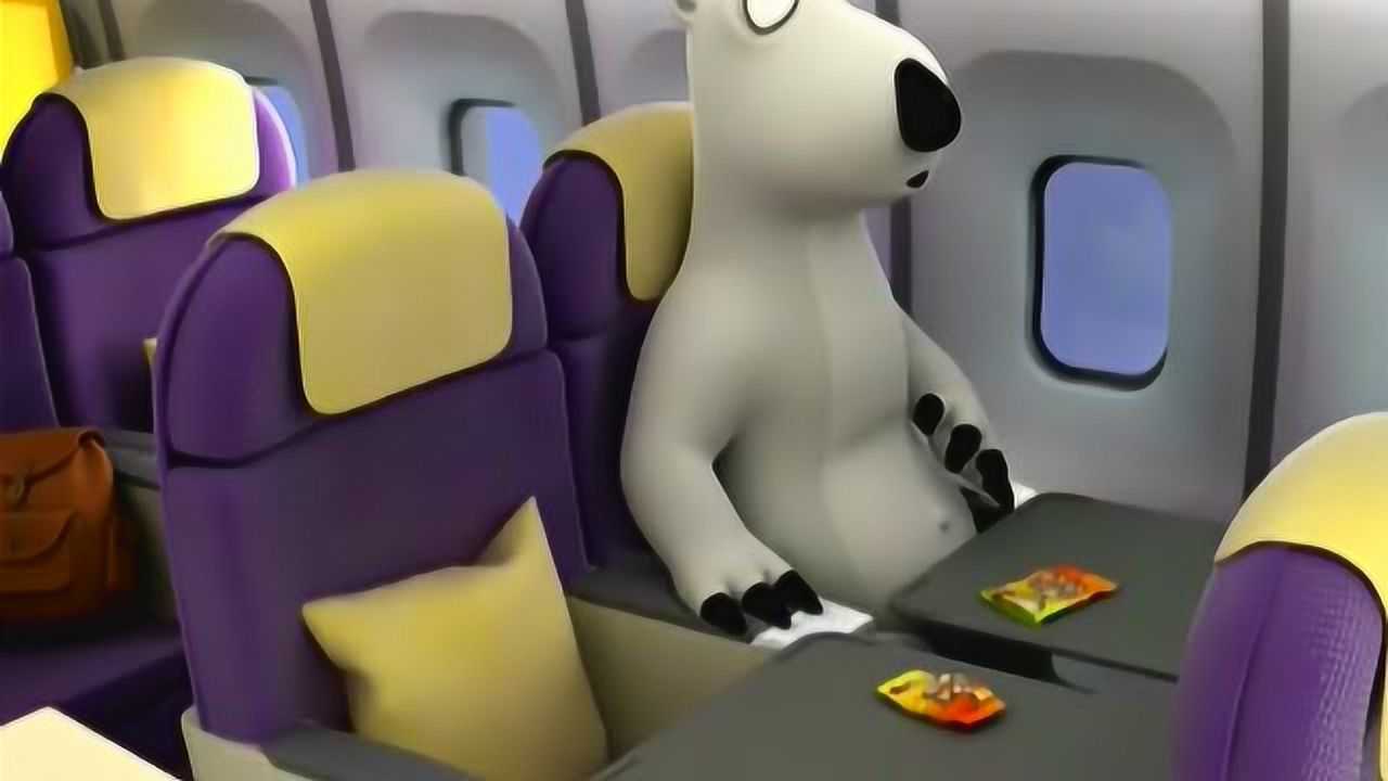 倒霉熊倒霉熊在飞机上偷吃邻座的午餐后开始晕机悠着点啊