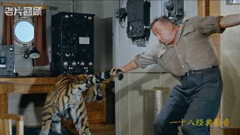 60年苏联喜剧片《运虎记》猩猩放出老虎船上人员各自逃生啼笑皆非