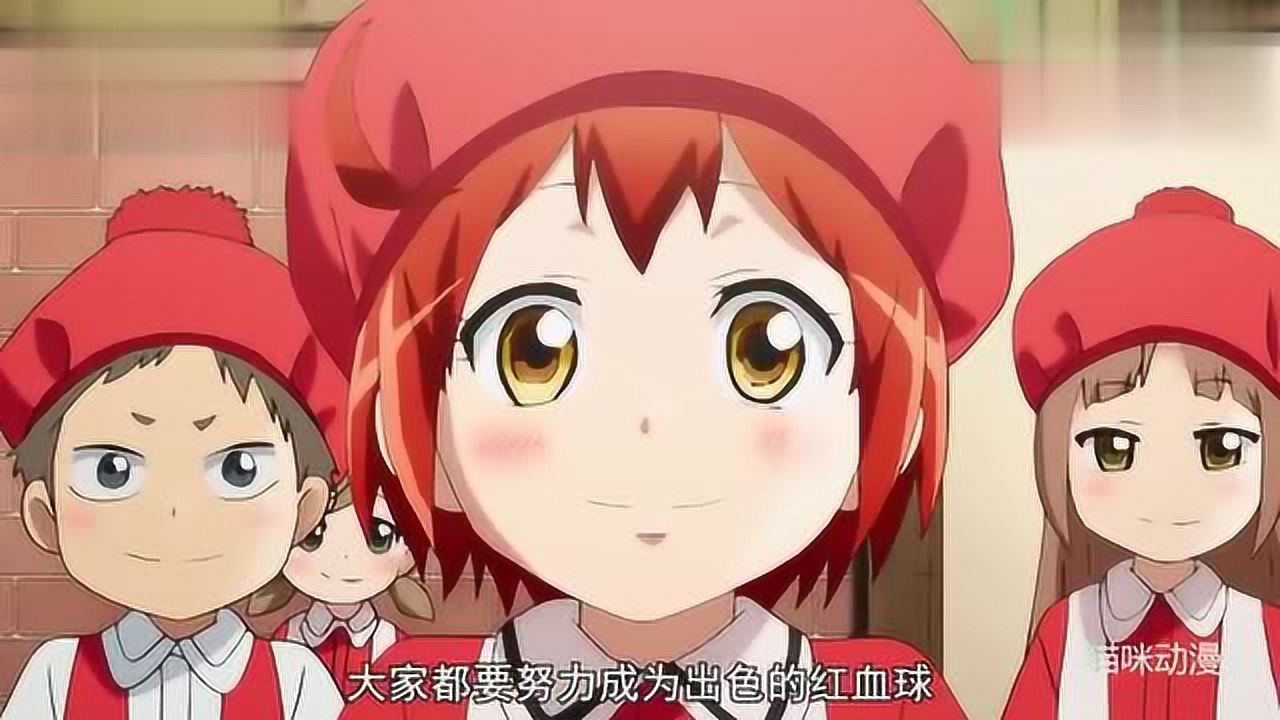 巨噬细胞姐姐教你如何成为合格的血细胞