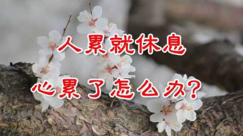 人累了就休息心累了怎么办句句戳心