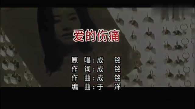 一曲《爱的伤痛》好听至极