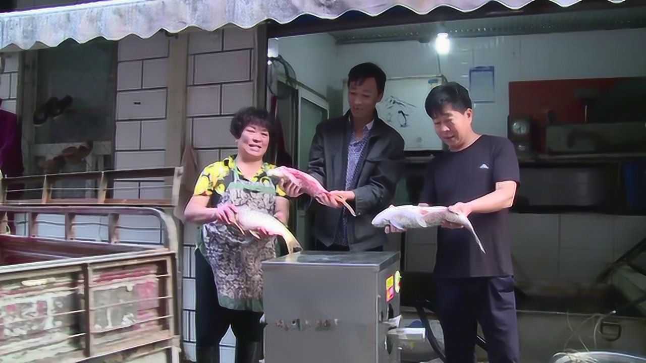 杀一条鱼最快也要2分钟,大叔自制杀鱼机,半个小时杀100斤_高清1080P在线观看平台_腾讯视频