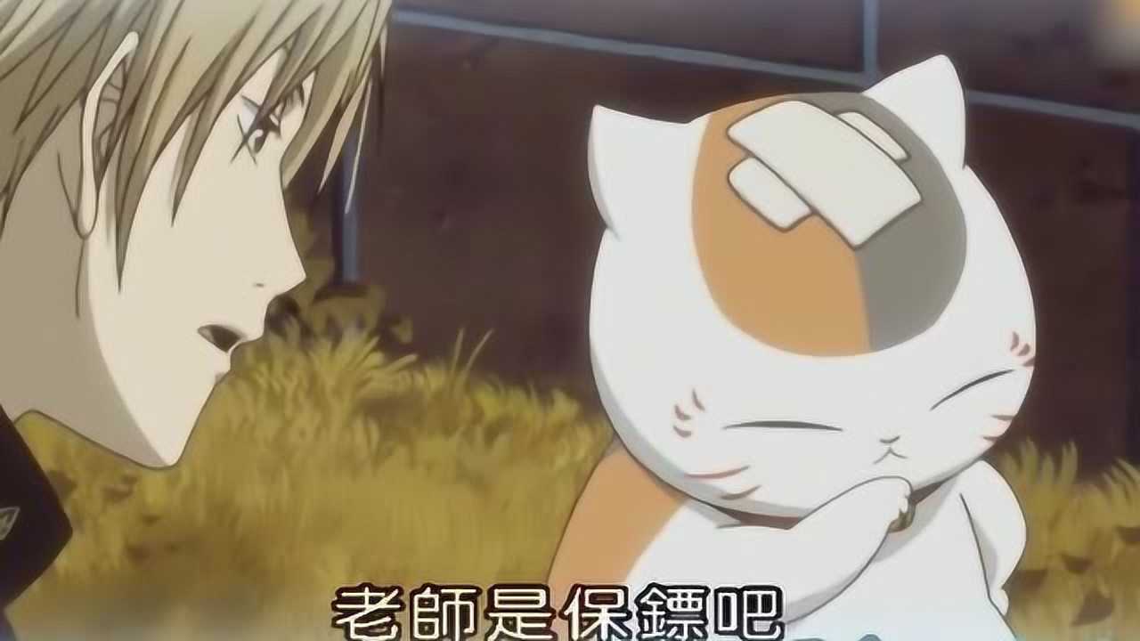 夏目友人帐傲娇胖太斑遇到双胞胎弟弟黑太狸追狸追男神