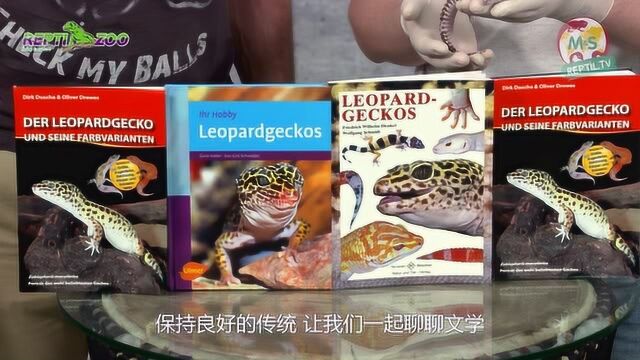 ReptilTV94 豹纹守宫的饲养详解下 幼体的饲养及守宫品系鉴赏