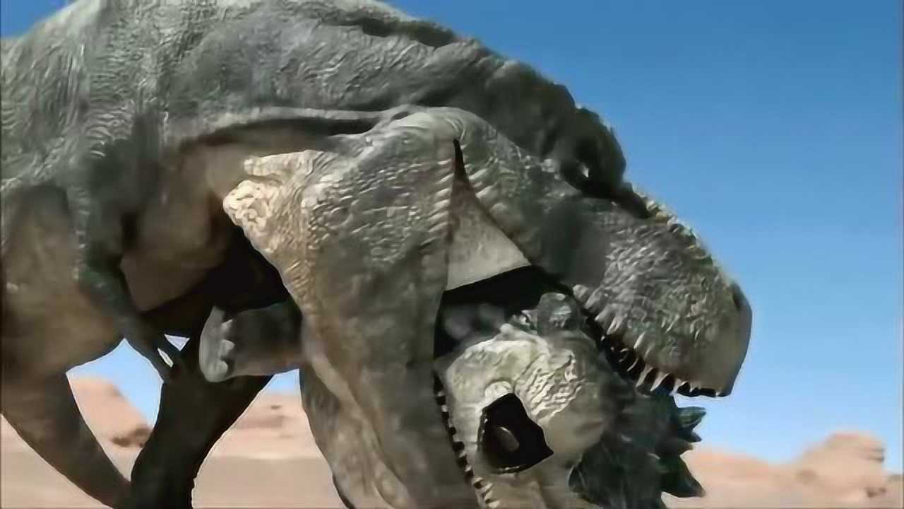 甲龙的后背盔甲将特暴龙的大牙打掉了!