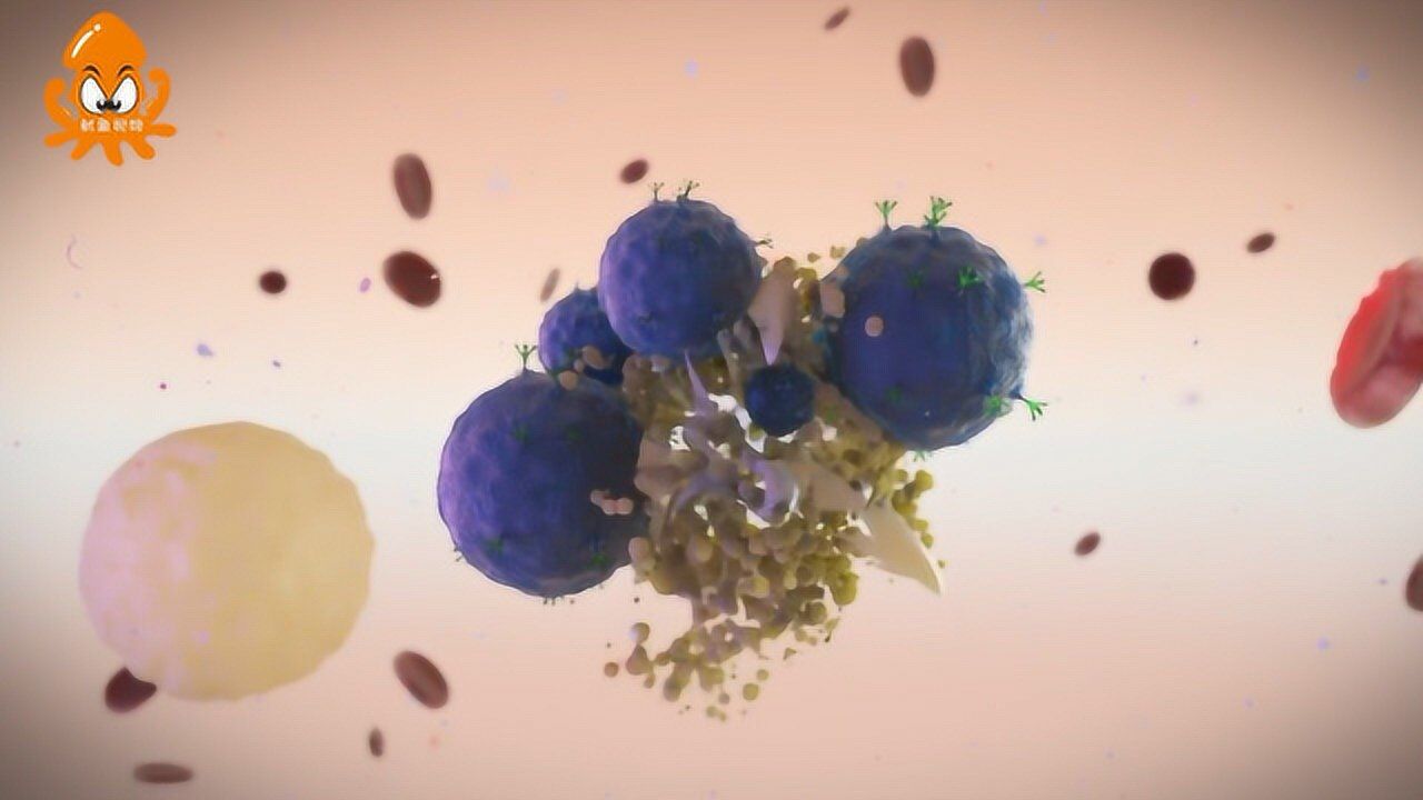 何谓癌症免疫治疗？科学家记录下T细胞杀死癌细胞全过程_高清