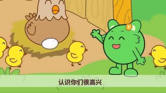 咕力咕力:小鸡小鸡嘎嘎嘎