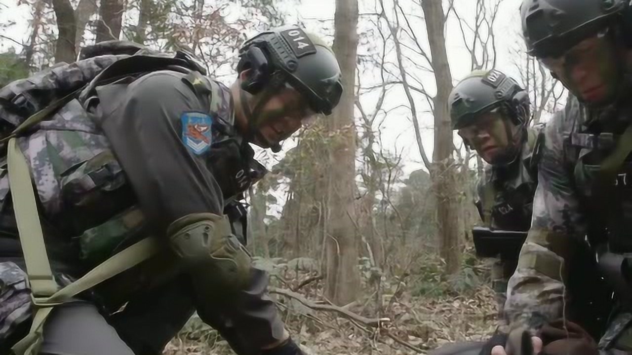 特种兵之霹雳火这个许飞让野猪淡定它能听懂人话吗